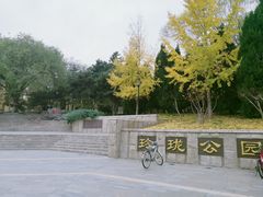 -玲珑塔公园