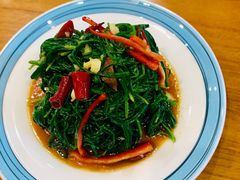 -巴依老爷新疆美食(望京小街店)