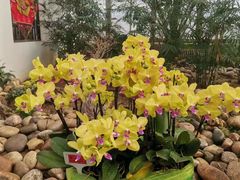 -石家庄市植物园