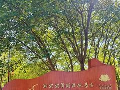 -泗洪洪泽湖湿地景区