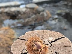 -北京水岸山吧度假村(雁栖镇店)