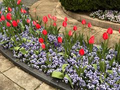 -上海波特曼丽思卡尔顿酒店