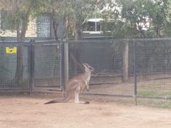 -费瑟代尔野生动物园