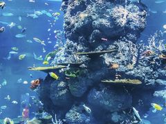 -新加坡海洋生态馆