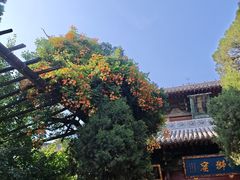 -洛阳白马寺
