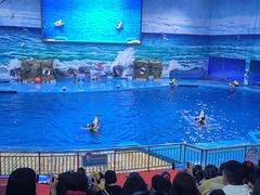 -多彩贵州城极地海洋世界