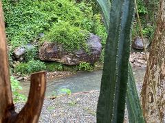 -MOJ coffee(瓯海泽雅水碓坑店)