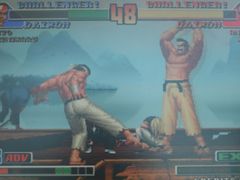 -柴犬小屋·柴餐厅·狗咖食堂(金鼎广场店)