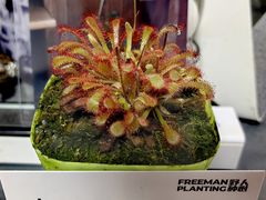 -瑞虹新天地月亮湾