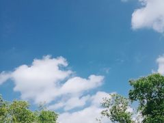 -将府公园