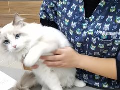 -爱侣宠医·鹦鹉专科·小型哺乳类·异宠专科(灵石路店)