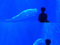 -多彩贵州城极地海洋世界