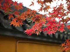 -龙华寺