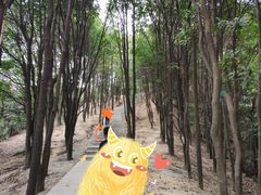 -火炉山森林公园
