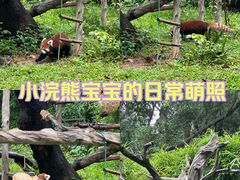 -广州动物园