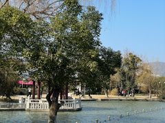 -江心屿景区