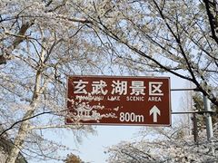 -音乐台