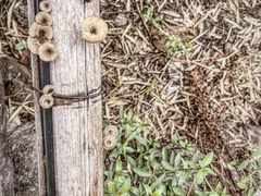 -驿舍·民國老营房院子私房菜(科学会堂店)