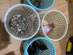 -小海豚•老字号海鲜餐厅(天涯店)