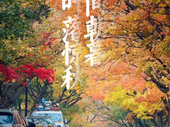 -八大关景区