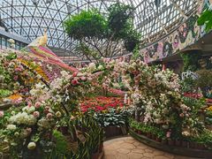 -花之城