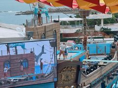-海合安青岛极地海洋公园