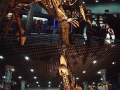 -国家自然博物馆