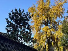 -宝光寺
