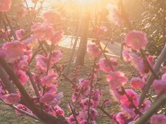 -大宁灵石公园西门票处