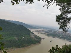 -铁山坪森林公园