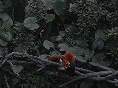 -长鹿旅游休博园