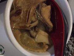 -蘑统田下·野生菌火锅