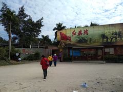 -飞来湖湿地公园