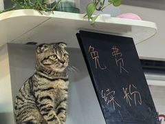 -缘久缘米粉(新街口店)