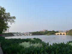 -眉山湿地公园(东坡区)