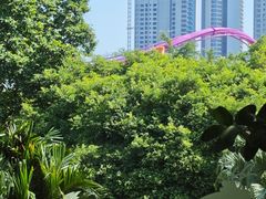 -麒麟中餐厅·经典粤菜·地道菜式老字号(广州长隆酒店)