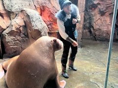 -哈尔滨波塞冬海底世界