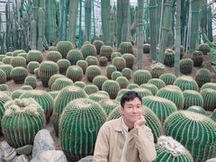 -南山植物园