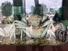 -墨尔本滨海港区