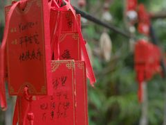 -呀诺达热带雨林