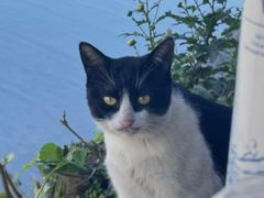 -环秀楼(黄山呈坎店)