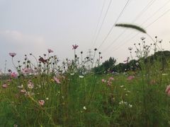 -汉长安城未央宫国家考古遗址公园