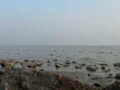 -深圳湾公园(南山区)