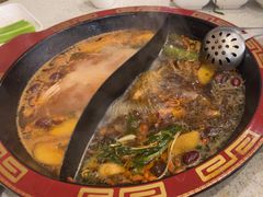 -蜀皇·菌汤鲜黄牛肉汤锅(宽窄巷子店)