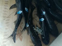-万佛湖许老大铁锅鱼(黑金冠店)