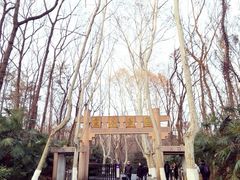 -灵谷景区