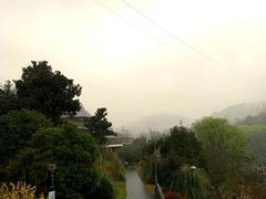 -阿哈湖国家湿地公园