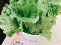 生菜-香邦迷宗蟹(新汽车站店)