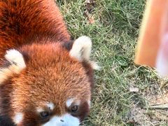 -常州淹城野生动物世界