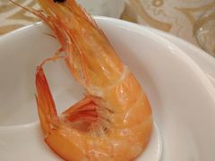 -江苏饭店-中餐厅